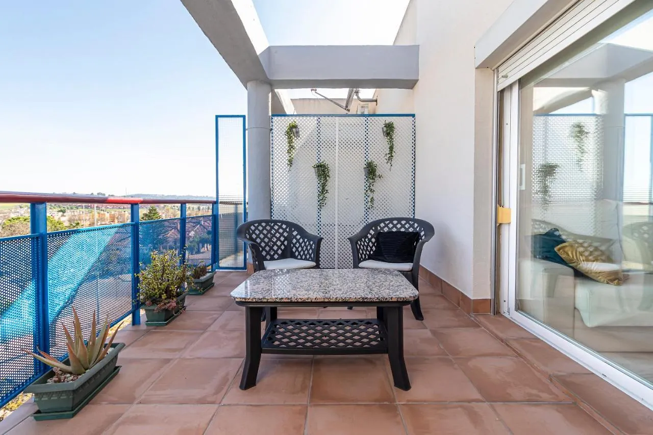 Top Estudio Sur - Terraza Jerez de la Frontera Spain